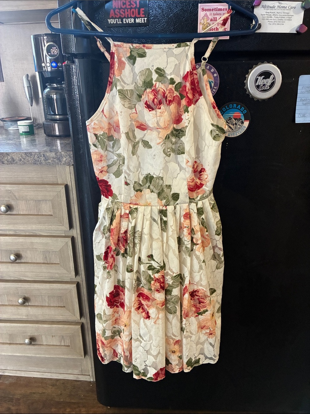 bailey blue Floral Lace Halter Mini Dress in White with Pink & Green Accents